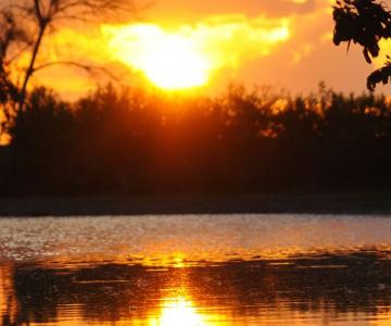 Arauca